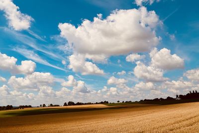 Scenic view of agricultural field against sky