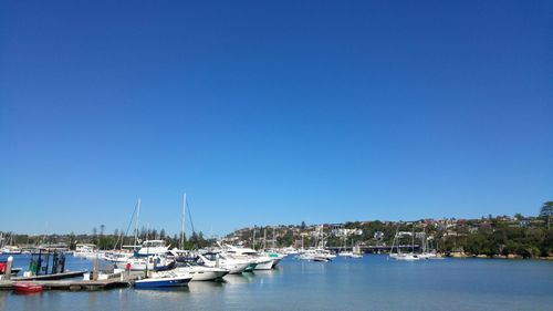 Boats in harbor