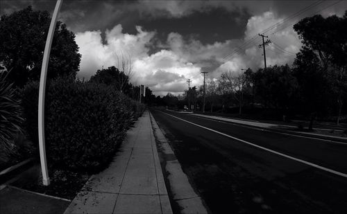 Road passing through trees