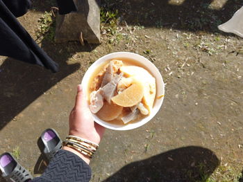 High angle view of person holding food