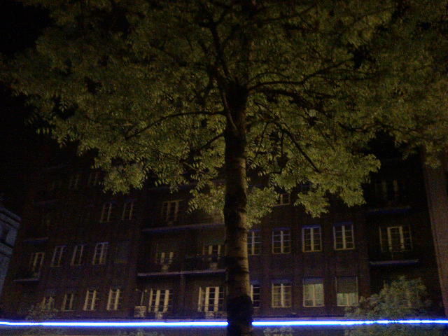 tree, night, plant, architecture, building exterior, built structure, nature, city, illuminated, dark, building, outdoors, no people, branch, spooky, tree trunk, trunk, mystery, winter, environment