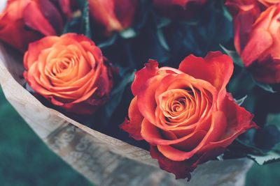 Close-up of rose bouquet