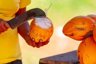 Cropped hand of woman holding butterfly