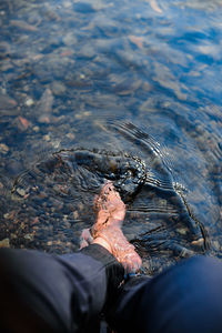 Low section of person by river