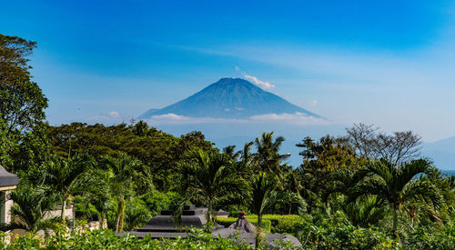 Scenic view of trees and mountain against blue sky