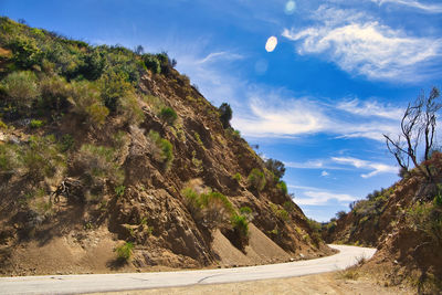 Road by trees against sky