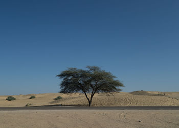 Trees on field against clear blue sky