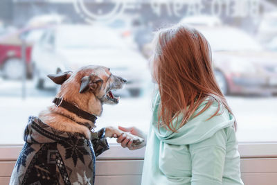 Owner and dog are sitting in cafe and looking into the window, back view.