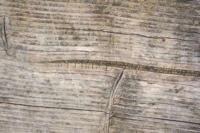 Full frame shot of old wooden plank