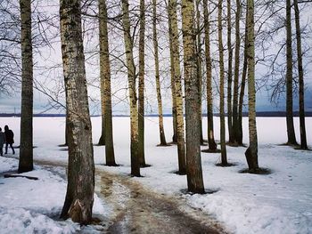 Bare trees on snow covered landscape