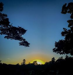 Low angle view of silhouette trees against sky at sunset