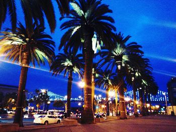 Illuminated palm trees against blue sky