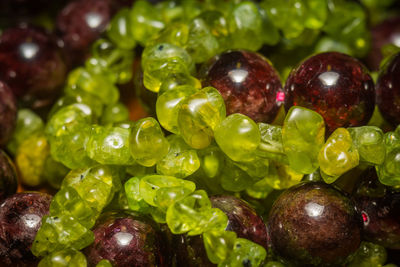 Close-up of grapes