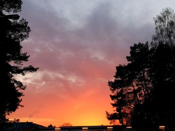 Low angle view of silhouette trees against dramatic sky