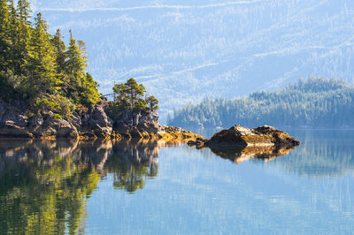 Scenic view of lake by trees against sky