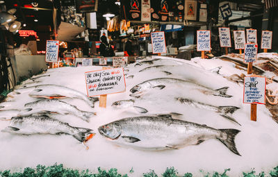 View of fish for sale in market