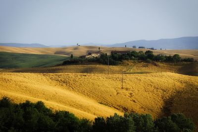 Scenic view of field against clear sky