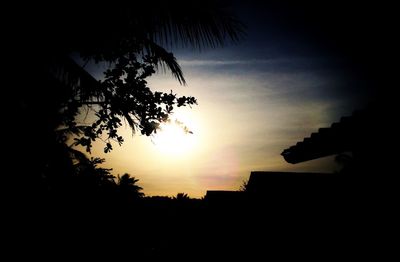 Low angle view of silhouette trees against sky during sunset