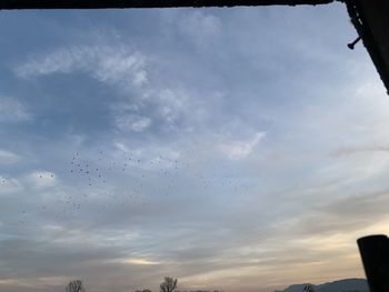 Low angle view of birds flying in sky