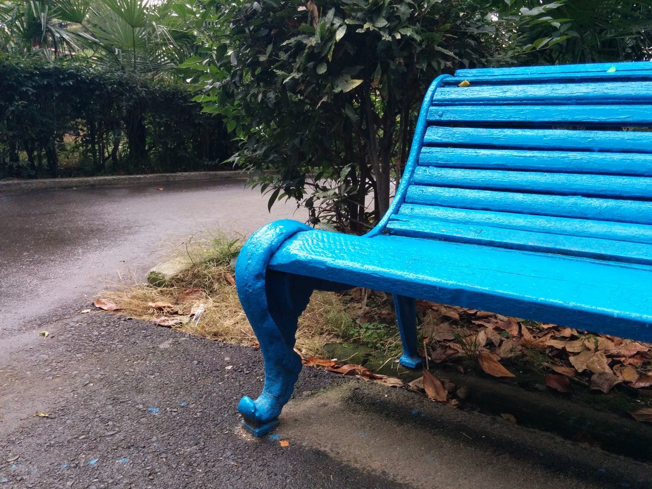 blue, metal, empty, absence, tree, day, sunlight, outdoors, bench, park - man made space, no people, shadow, transportation, sidewalk, street, road, railing, close-up, park bench, footpath