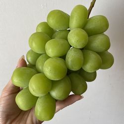 Cropped image of hand holding fruits against white background