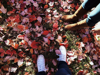 Low section of woman with autumn leaves