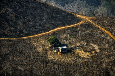 High angle view of burnt forest