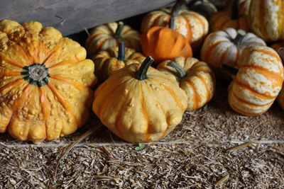 High angle view of pumpkins