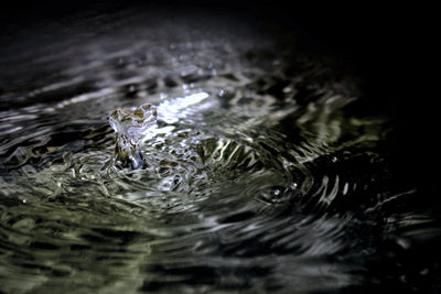 High angle view of water drop on lake