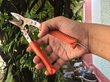 Cropped hand holding pliers against plants