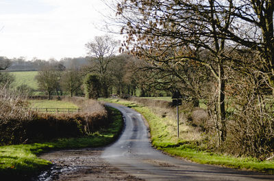 Road amidst trees in forest against sky