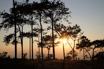 Silhouette trees on field against sky during sunset