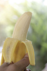 Close-up of banana