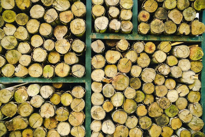 Full frame shot of logs in forest