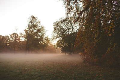 Trees on landscape against sky during autumn