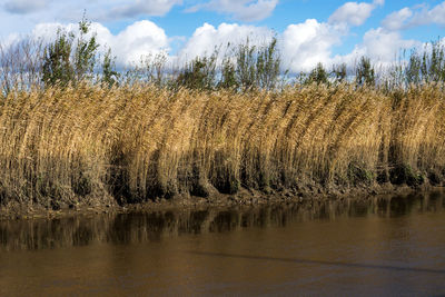 Panoramic view of lake against sky