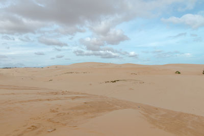 Scenic view of sand against sky