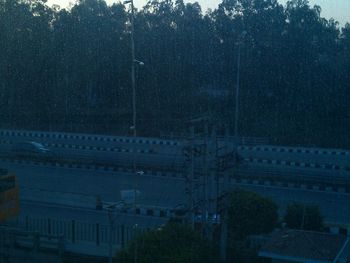 Panoramic view of trees at night