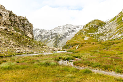 Greina high plateau with stream in swiss alps