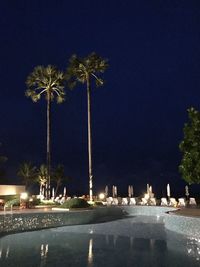 Palm trees against sky at night
