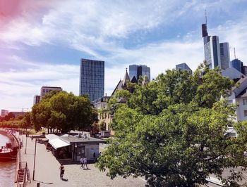 Trees and modern buildings against sky