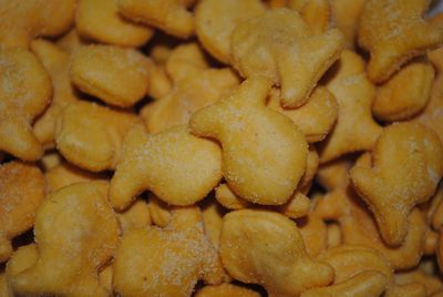 Close-up of food