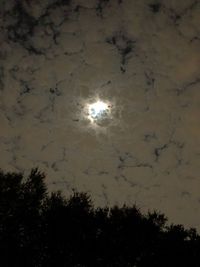 Low angle view of silhouette trees against sky