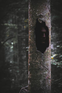 Close-up of monkey on tree trunk