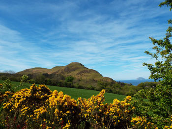 Scenic view of mountains against blue sky