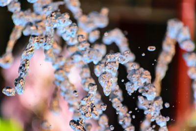 Close-up of water drops