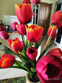 Close-up of red tulips in vase