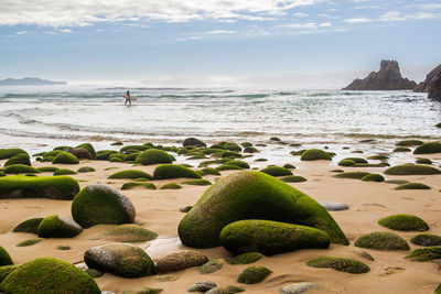 Scenic view of rocks on beach against sky