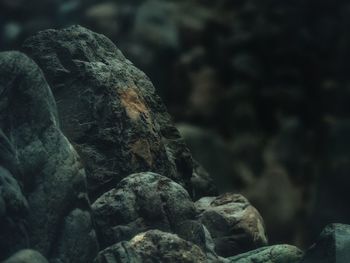 Close-up of rocks on rock