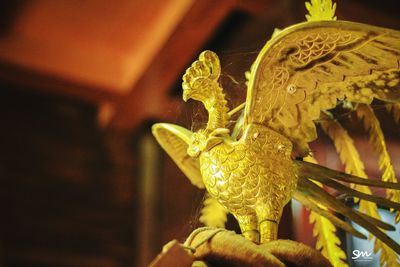 Close-up of lizard on leaf